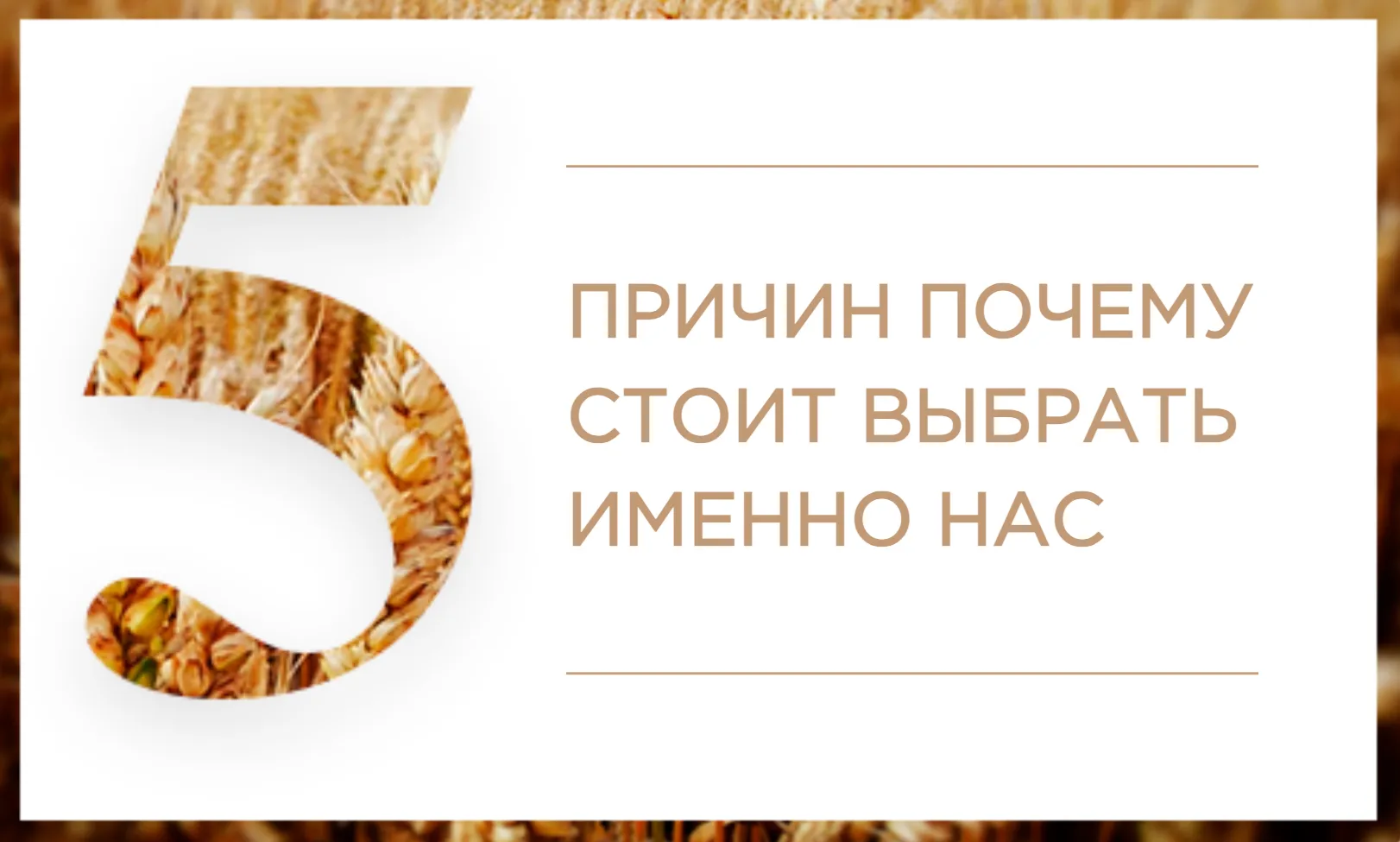 5 причин выбрать Волтех